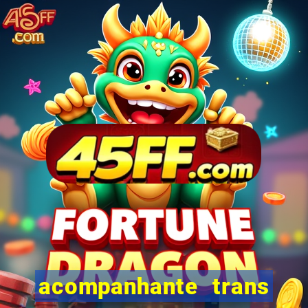 acompanhante trans baixada fluminense